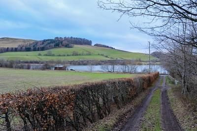 Walk photo