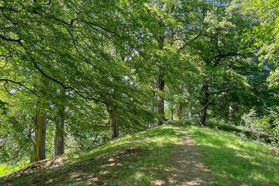 Walk photo