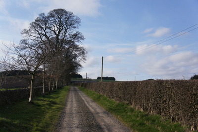 Walk photo