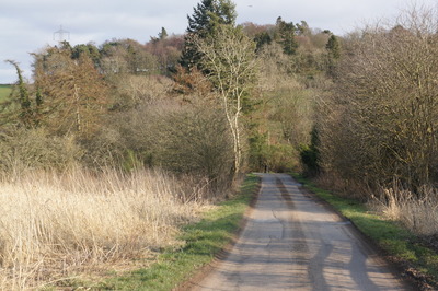 Walk photo