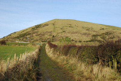 Walk photo