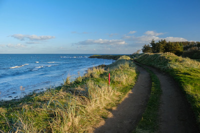 Walk photo