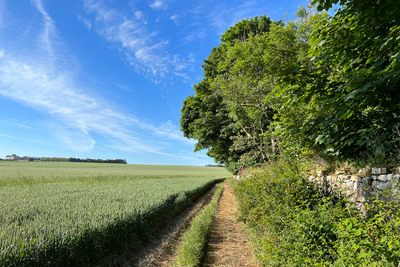 Walk photo
