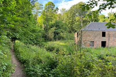 Walk photo