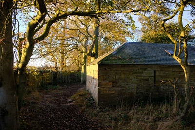 Walk photo