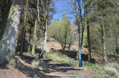 Walk photo