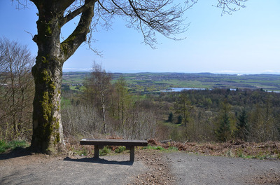 Walk photo