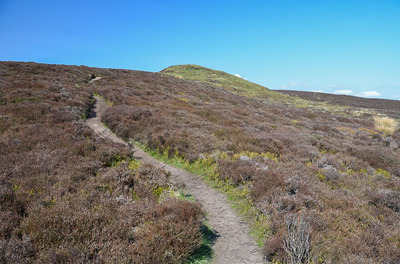 Walk photo