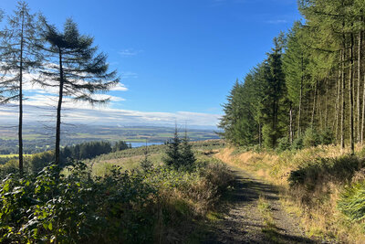 Walk photo