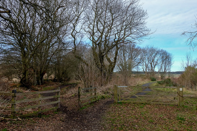 Walk photo