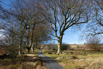 Walk photo