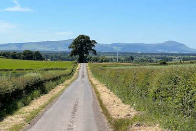 Walk photo