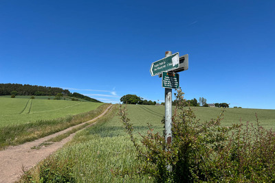 Walk photo