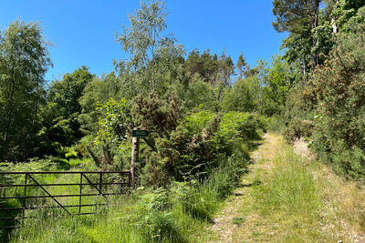 Walk photo