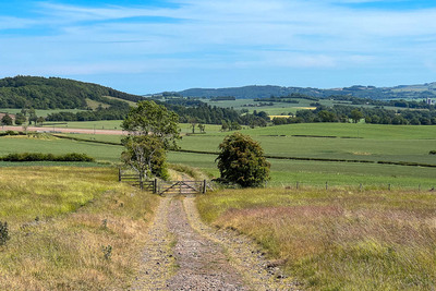 Walk photo