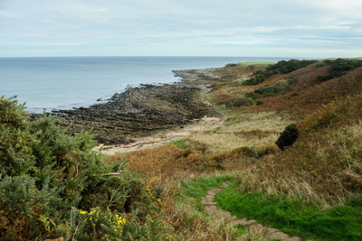 Walk photo