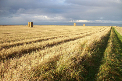 Walk photo