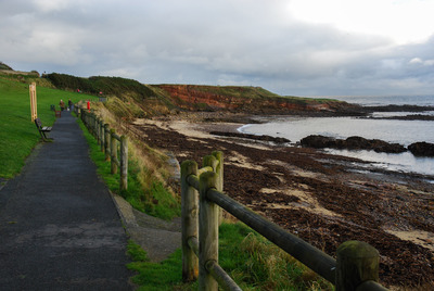 Walk photo