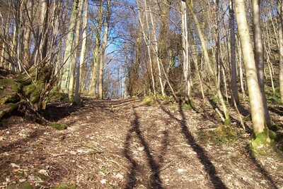 Walk photo