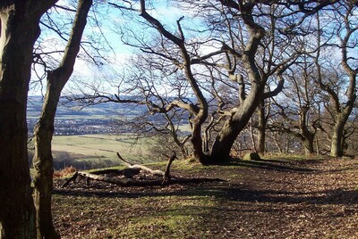 Walk photo