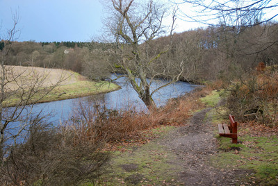 Walk photo