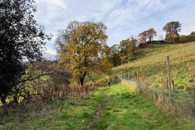 Walk photo