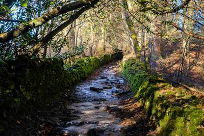 Darn Walk: Bridge of Allan to Dunblane