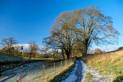 Walk photo