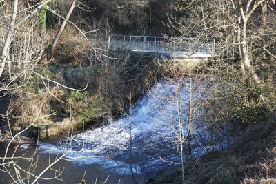 Walk photo