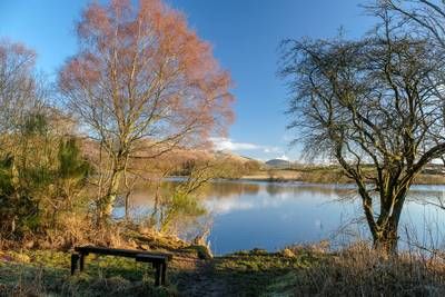 Walk photo