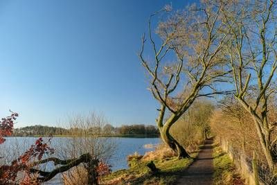 Walk photo