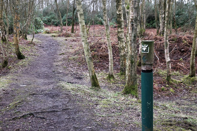 Walk photo