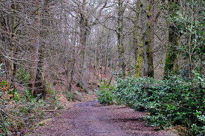 Walk photo
