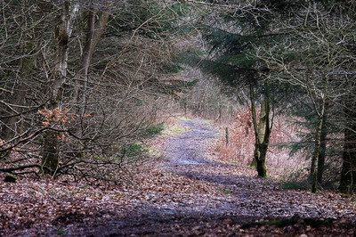 Walk photo