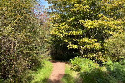 Walk photo