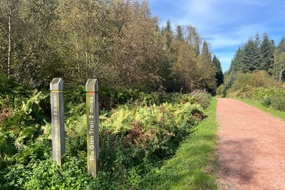 Walk photo