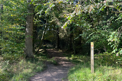 Walk photo