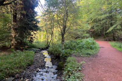Walk photo