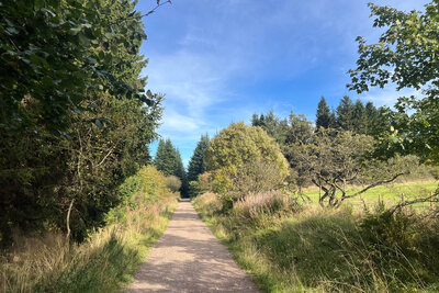 Walk photo
