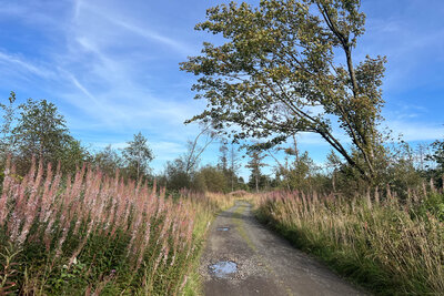 Walk photo