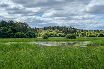 Walk photo