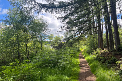 Walk photo