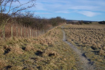 Walk photo