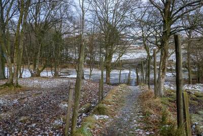 Walk photo