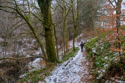 Walk photo