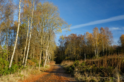 Walk photo