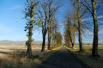 Walk photo