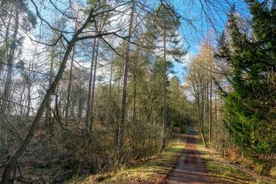 Walk photo