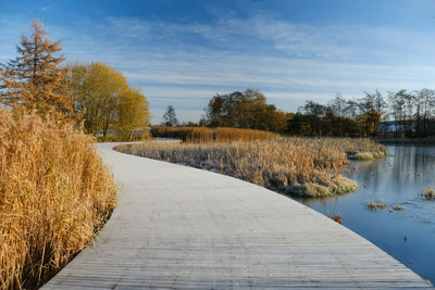 Walk photo