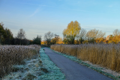 Walk photo